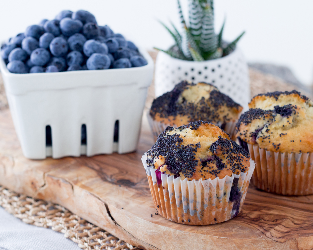 Lemon Blueberry Poppy Seed Muffin